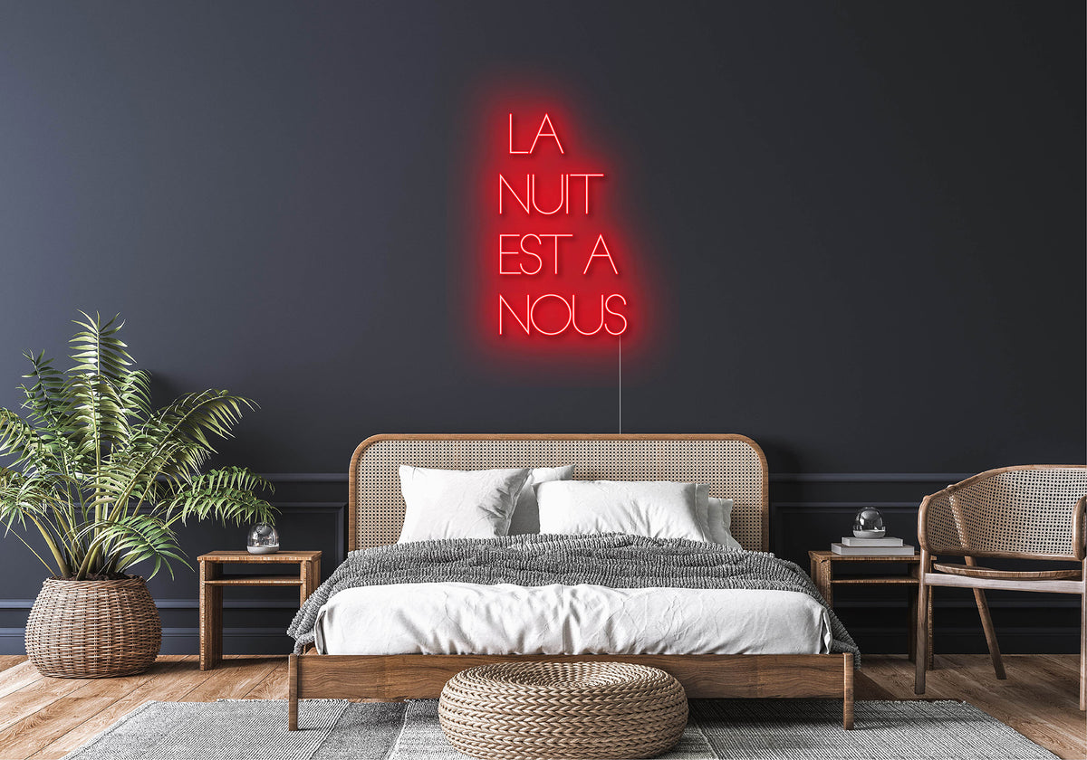 LA NUIT EST A NOUS Neon deco led
