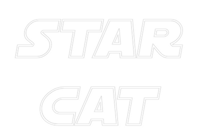 Custom Neon: Star
Cat